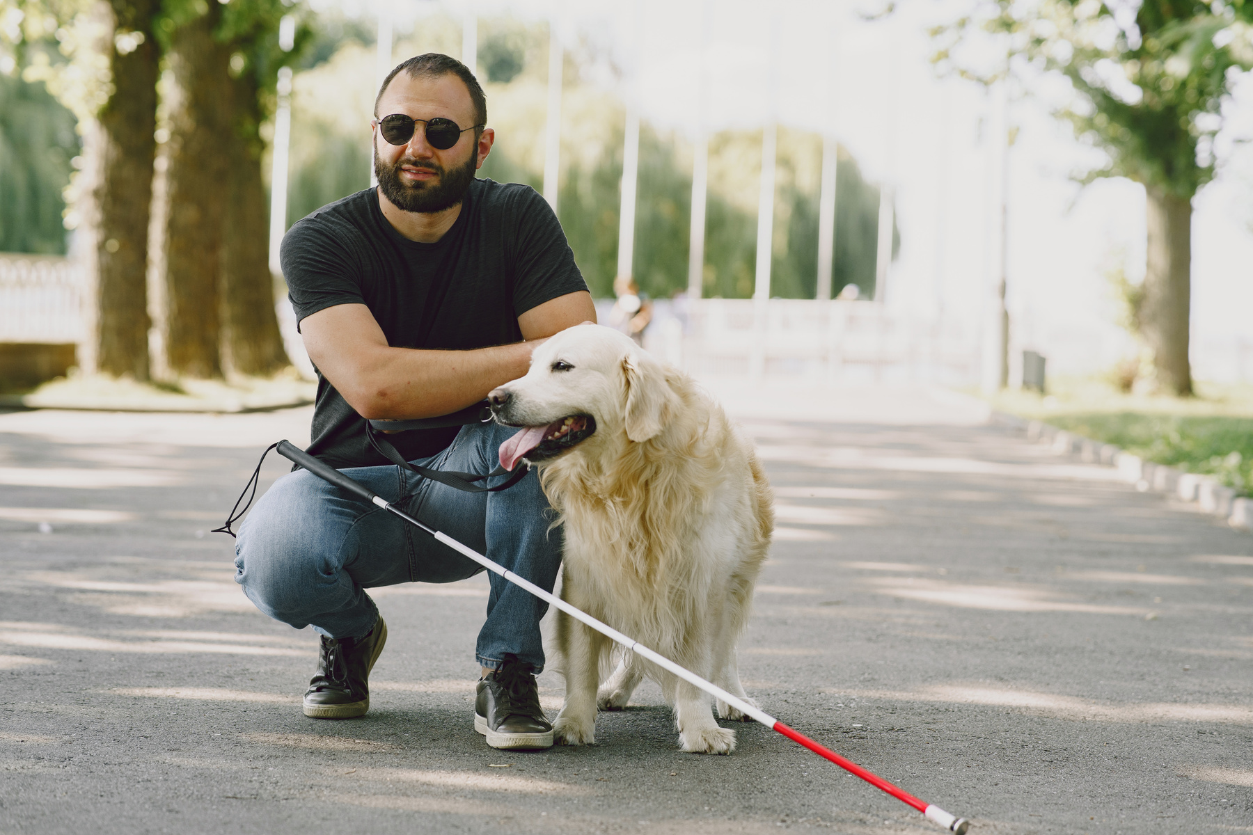 Blind Man with Guide Dog in a Summer City